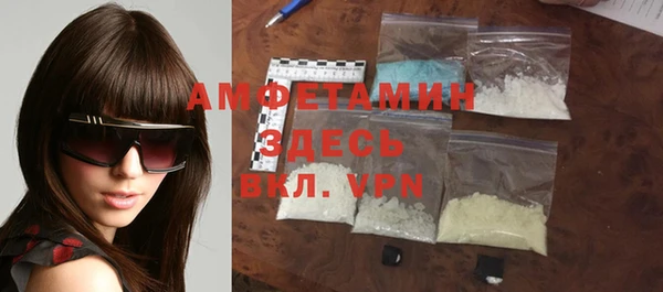 гидра Каменка