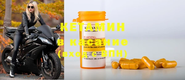гидра Каменка