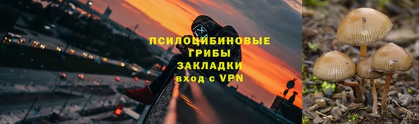 дживик Каменногорск