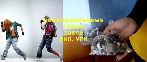 гидра Каменка