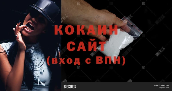 дживик Каменногорск