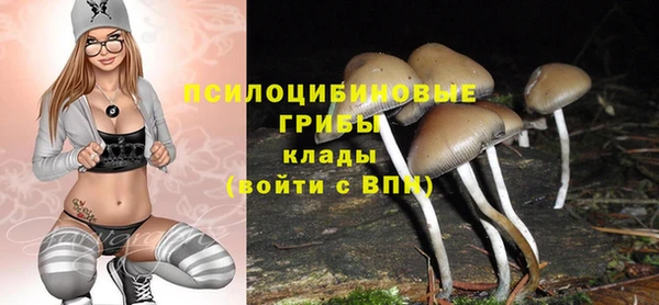 гидра Каменка