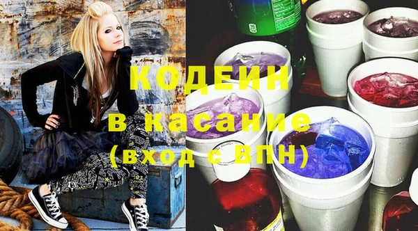 гидра Каменка