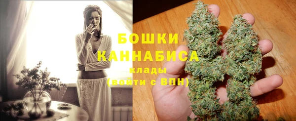 гидра Каменка