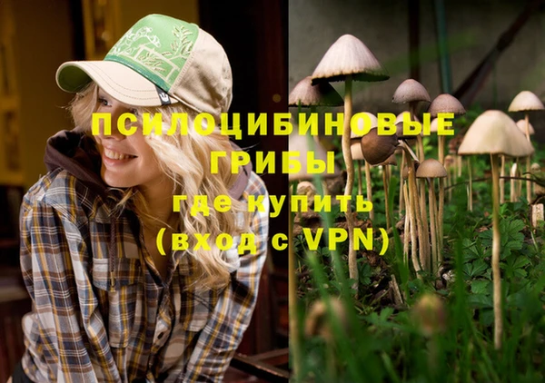 гидра Каменка