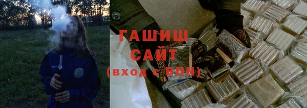 гидра Каменка