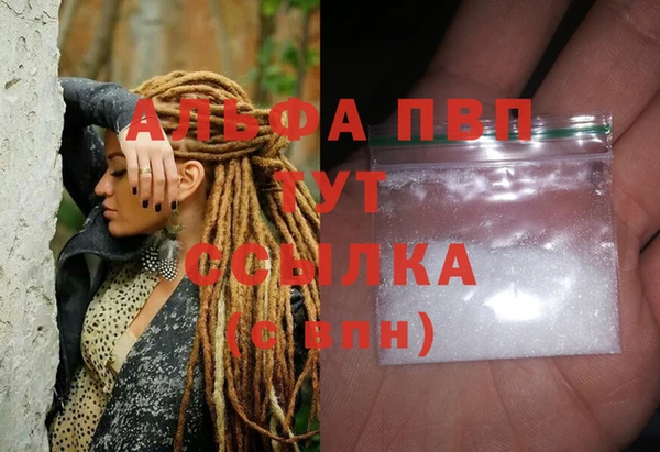 гидра Каменка