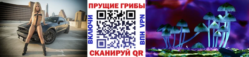 Галлюциногенные грибы прущие грибы  Купить закладки  Грязовец 