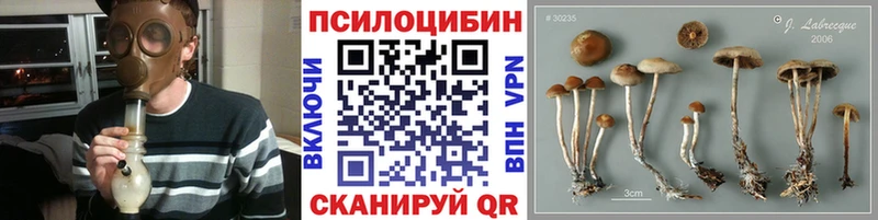 Галлюциногенные грибы Magic Shrooms Грязовец